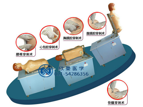 综合穿刺术与叩诊检查训练模拟人模型