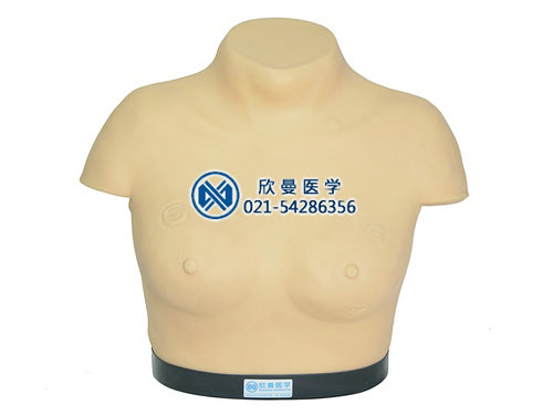 乳腺癌视诊与触诊仿真模型,乳腺检查模型